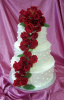 Wedding #33